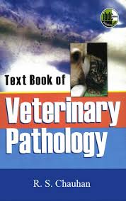veterinary pathology